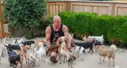 The man who rescued 30 Chihuahuas