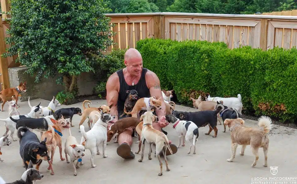 The man who rescued 30 Chihuahuas